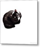 Booboo #2 Metal Print