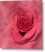 Vintage Pink Rose #2 Metal Print