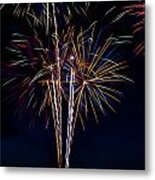 20120706-dsc06456 Metal Print