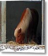 Horsing Around #3 Metal Print