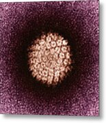 Human Papilloma Virus Hpv #3 Metal Print