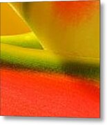 Photograph Of A Lobster Claws Heliconia #4 Metal Print