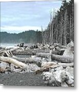 Rialto Beach La Push #3 Metal Print