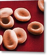Sem Of Red Blood Cells #3 Metal Print