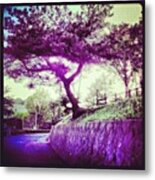 #tree #trees #leaves #ilovebaretrees #3 Metal Print