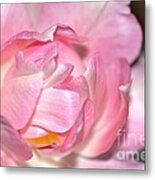 Tulipe #1 Metal Print