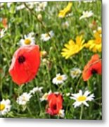 3rd And Final Poppy Pic Metal Print