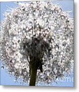 Fleur De Cristal Metal Print