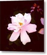 #flower #gang_family #gf_daily #4 Metal Print