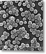 Methicillin-resistant Staphylococcus #4 Metal Print