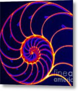 Chambered Nautilus #6 Metal Print