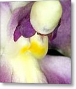 Orchid Flower Bloom #6 Metal Print