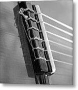 6 String Bw Metal Print