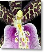 Exotic Orchid Flower #8 Metal Print
