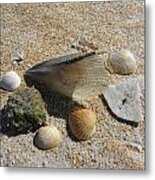 A Collection Of Beach Nature Metal Print