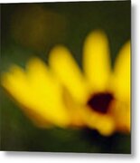 A Light In The Heart Metal Print