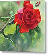 A Red Red Rose Metal Print