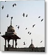 A Whole Flock Of Pigeons On The Top Of The Ramparts Of The Red Fort In New Delhi Metal Print