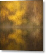 Abstract Birch Reflections Metal Print