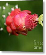 Alien Cactus Flower Metal Print