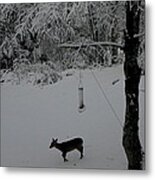 All Alone In Search Metal Print