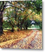 Along The Path Under The Trees Metal Print