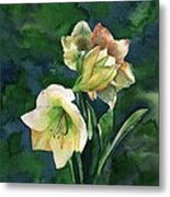 Amaryllis Metal Print