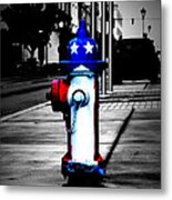 American Pride Metal Print