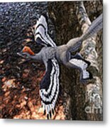 Anchiornis Huxleyi Metal Print