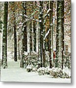 Another Snowy Day Metal Print