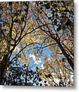 Arch To The Sky Metal Print