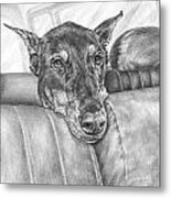 Are We There Yet - Doberman Pinscher Dog Print Metal Print