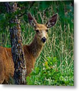 Are You Following Me Metal Print