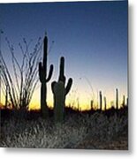 Arizona Desert Sunset Metal Print