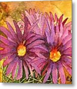 Arizona Pincushion Metal Print