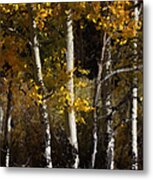 Aspen Palate Knife Metal Print