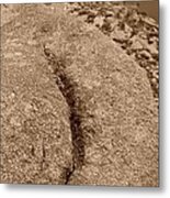 Ass Crack New Mexico In Sepia Metal Print