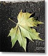 Autumn 10 Metal Print