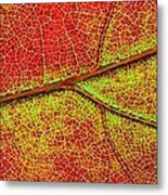 Autumn Abstract One Metal Print