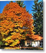 Autumn Americana Metal Print