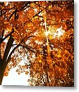 Autumn Beauty #autumn #leaves Metal Print