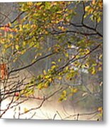 Autumn Colors Metal Print