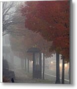 Autumn Commute Metal Print