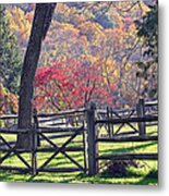 Autumn Fences Metal Print