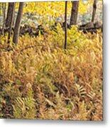 Autumn Ferns Metal Print