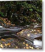 Autumn In The Forest Metal Print