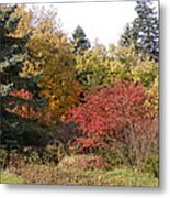 Autumn Landscape Metal Print