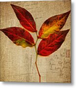 Autumn Leaf With Texture Metal Print