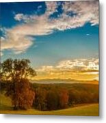 Autumn Trees Metal Print