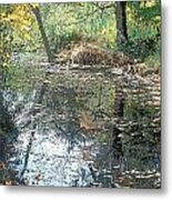 Autumn Vale Metal Print